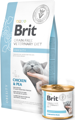 brit care diete gato obesity