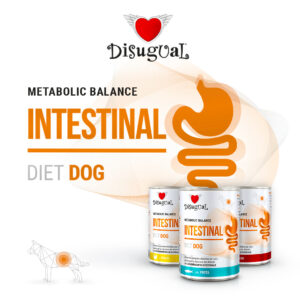 disugual diet dog